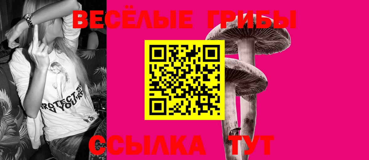 Псилоцибиновые грибы Psilocybine cubensis Волгодонск