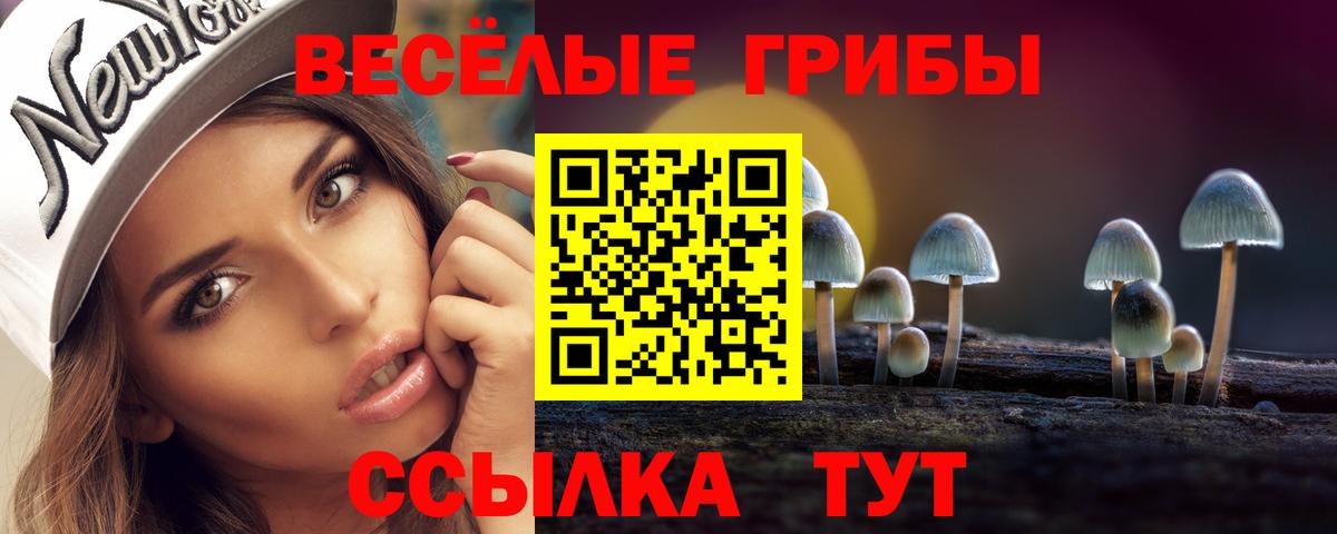 Волгодонск  Галлюциногенные грибы мицелий  Вход с VPN 